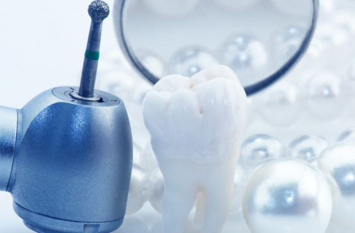 Sed blandit massa vel